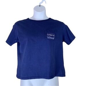 Patagonia T Shirt Size Small Crop Top Blue Small Embroidered Pocket Womens Tee